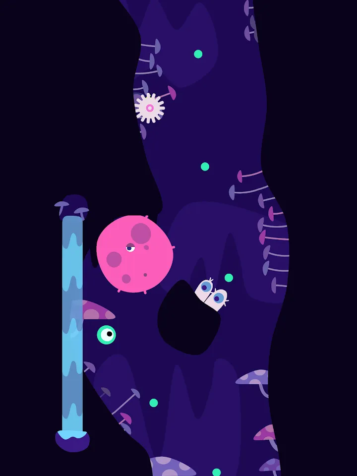 Mechanika skoków w Ordia